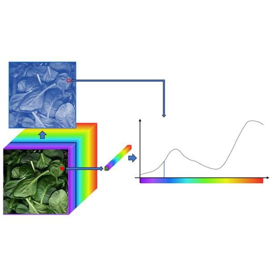 Hyperspectral INO