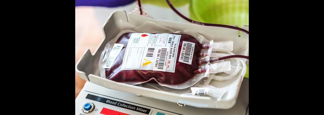 INO | Case study – Cerus